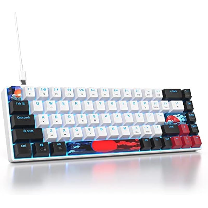 60 Percent Gaming Keyboard 68 Keys Mechanical Keyboard LED Backlit Compact Wired Keyboard with Red Switch for Windows PS4/5 Xbox Gamer(Black-White)
