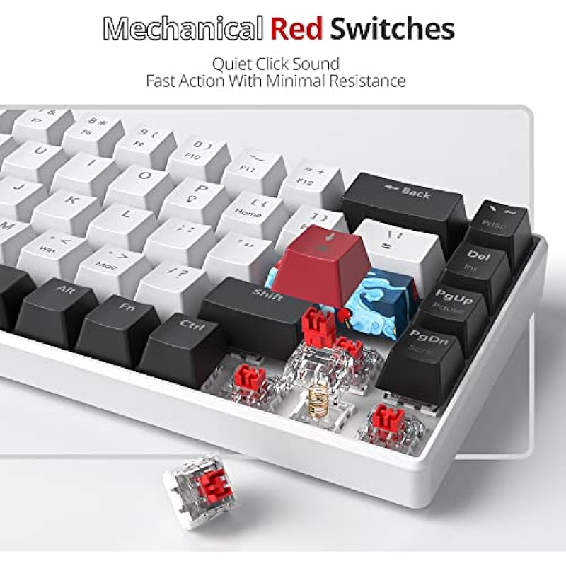 60 Percent Gaming Keyboard 68 Keys Mechanical Keyboard LED Backlit Compact Wired Keyboard with Red Switch for Windows PS4/5 Xbox Gamer(Black-White)