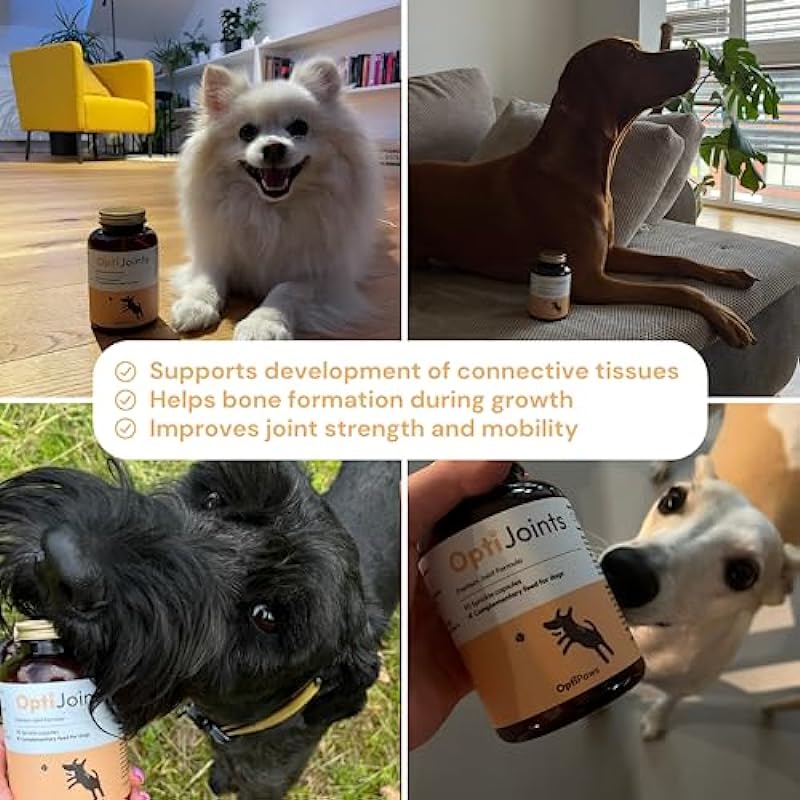OptiJoints Dog Hip & Joint Support – Chondroitin & MSM – Mobility, Flexibility, Joint Health – Natural Capsules for Pet Mobility