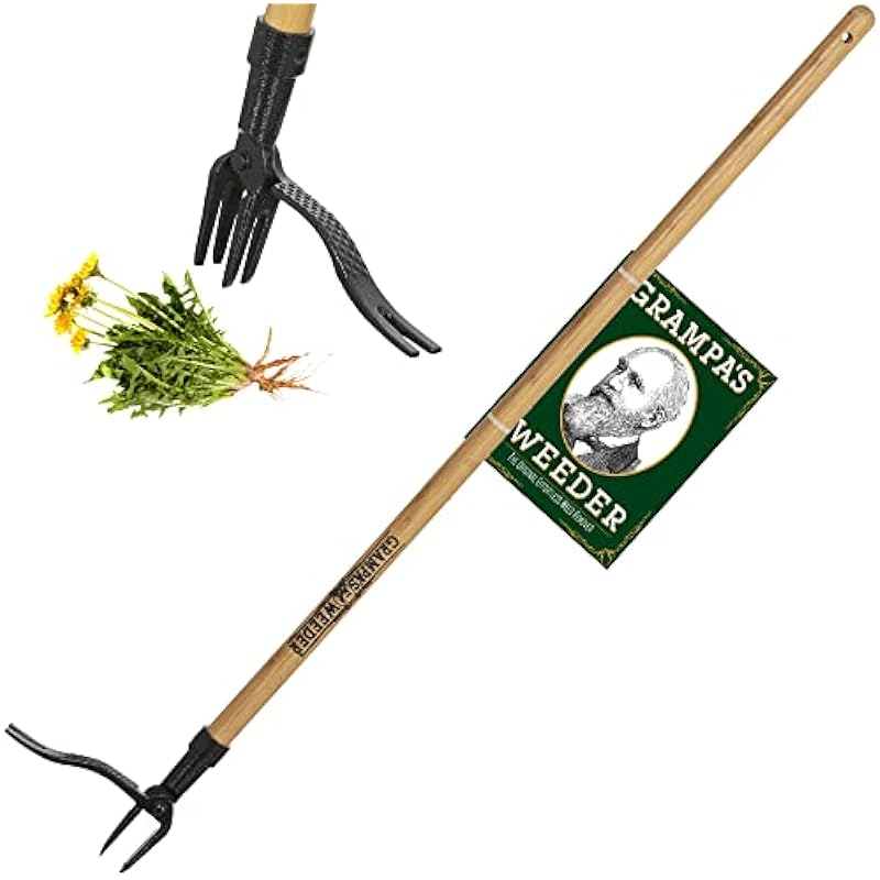 Grampa’s Weeder – The Original Stand Up Weed Puller Tool with Long Handle – Made with Real Bamboo & 4-Claw Steel Head Design – Easily Remove Weeds Without Bending, Pulling, or Kneeling