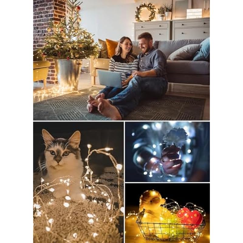 Minetom Color Changing Fairy String Lights – 33 ft 100 LED USB Silver Wire Lights with Remote and Timer, Starry Fairy Lights for Bedroom Party Indoor Christmas Decoration, 16 Colors, Adapter Included