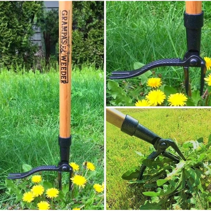 Grampa’s Weeder – The Original Stand Up Weed Puller Tool with Long Handle – Made with Real Bamboo & 4-Claw Steel Head Design – Easily Remove Weeds Without Bending, Pulling, or Kneeling