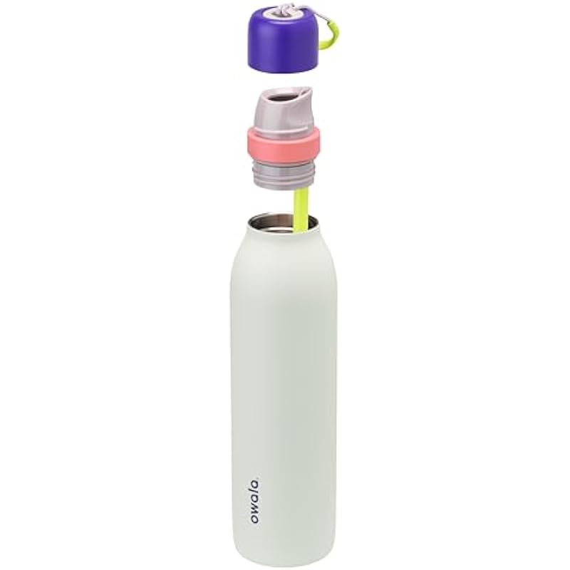 Owala FreeSip Twist Insulated Stainless Steel Water Bottle with Straw for Sports and Travel, BPA-Free, 24-oz, Purple/Green (Minty Horizons)