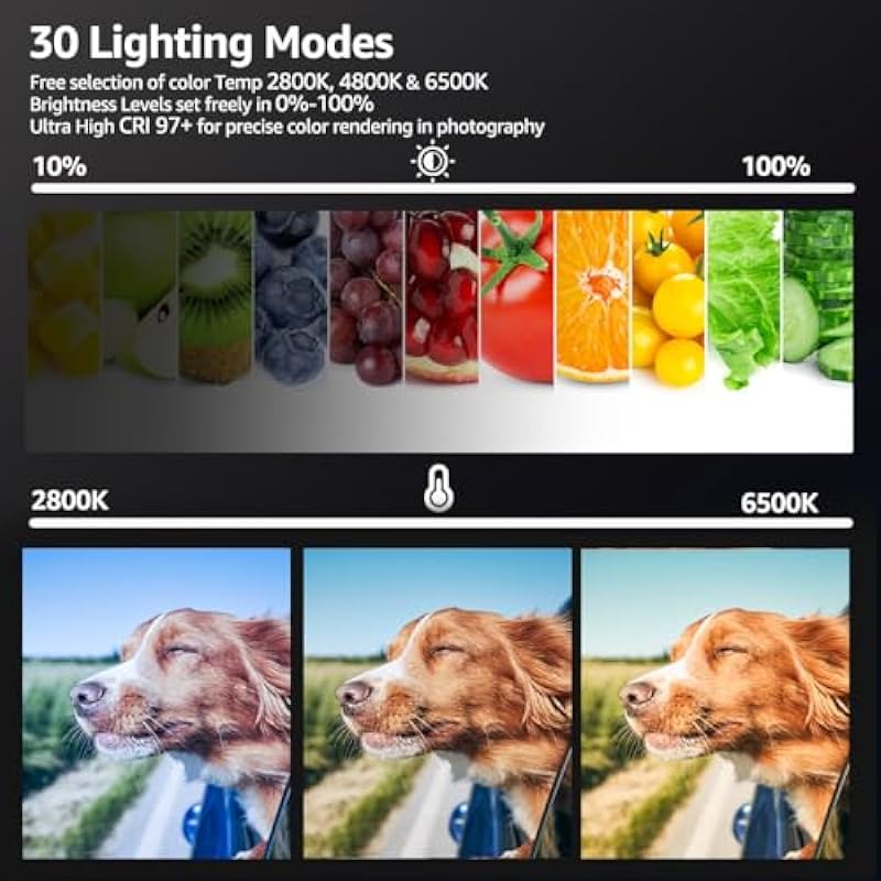 2-Pack LED Video Light Kit, NiceVeedi Studio Light, 2800-6500K Dimmable Photography Lighting Kit with Tripod Stand&Phone Holder, 73″ Stream Light for Video Recording, Game Streaming, YouTube…